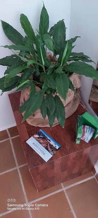 Brenas Garden C9 Lejlighed Breña Baja Eksteriør billede