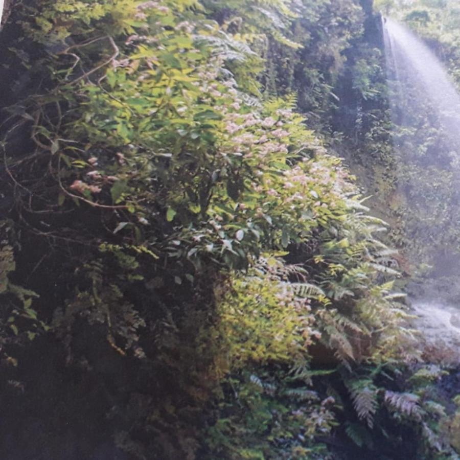 Brenas Garden C9 Lejlighed Breña Baja Eksteriør billede